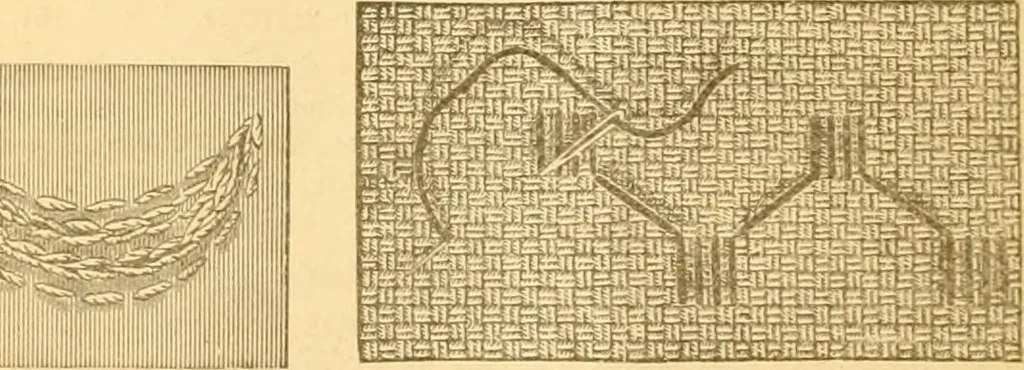 An illustration from Ladies' manual of embroidery and stamping. Giving full instructions in making the stitches .., 1884, leaf 5