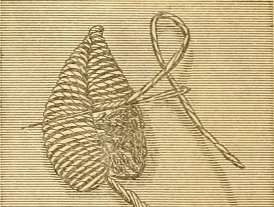 An illustration from Ladies' manual of embroidery and stamping. Giving full instructions in making the stitches .., 1884, leaf 7