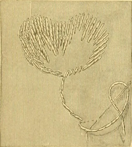 An illustration from Ladies' manual of embroidery and stamping. Giving full instructions in making the stitches .., 1884, leaf 8