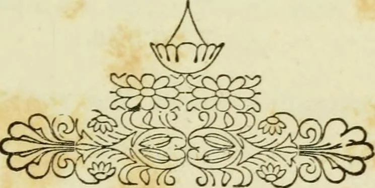 An illustration from The Ladies' self instructor in millinery and mantua making, embroidery and appliqué, canvas-work, knitting, netting, and crochet-work, 1853, leaf 114