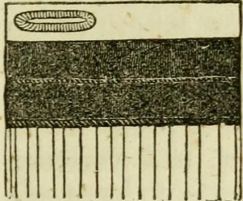 An illustration from The Ladies' self instructor in millinery and mantua making, embroidery and appliqué, canvas-work, knitting, netting, and crochet-work, 1853, leaf 132