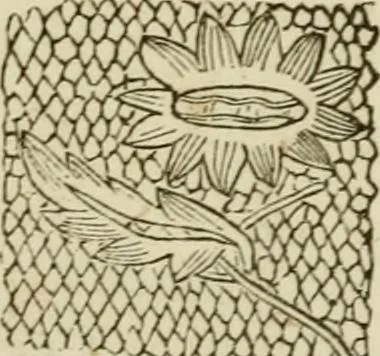 An illustration from The Ladies' self instructor in millinery and mantua making, embroidery and appliqué, canvas-work, knitting, netting, and crochet-work, 1853, leaf 49