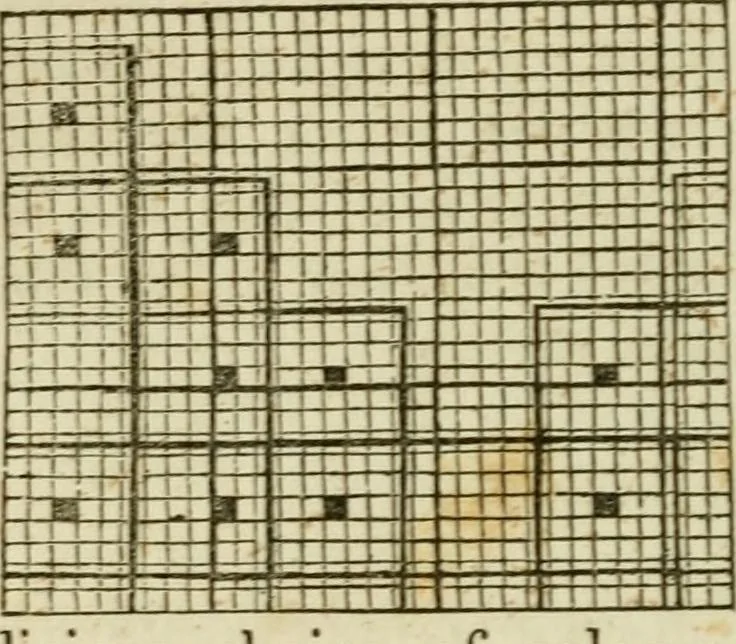 An illustration from The Ladies' self instructor in millinery and mantua making, embroidery and appliqué, canvas-work, knitting, netting, and crochet-work, 1853, leaf 79