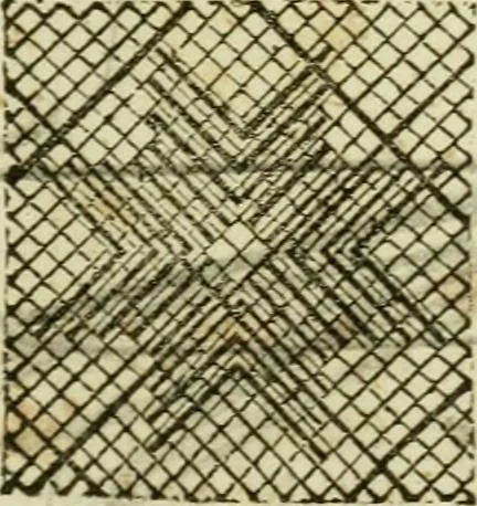 An illustration from The Ladies' self instructor in millinery and mantua making, embroidery and appliqué, canvas-work, knitting, netting, and crochet-work, 1853, leaf 84