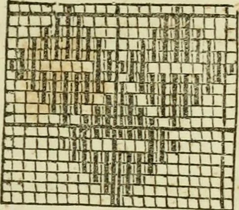 An illustration from The Ladies' self instructor in millinery and mantua making, embroidery and appliqué, canvas-work, knitting, netting, and crochet-work, 1853, leaf 88