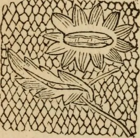 An illustration from The Ladies' self instructor in millinery and mantua making, embroidery and appliqué, canvas-work, knitting, netting, and crochet-work, 1853, leaf 47