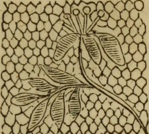 An illustration from The Ladies' self instructor in millinery and mantua making, embroidery and appliqué, canvas-work, knitting, netting, and crochet-work, 1853, leaf 48