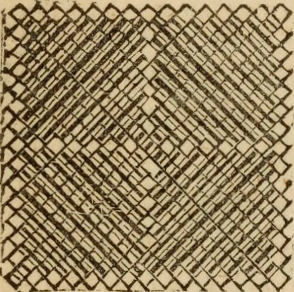 An illustration from The Ladies' self instructor in millinery and mantua making, embroidery and appliqué, canvas-work, knitting, netting, and crochet-work, 1853, leaf 83