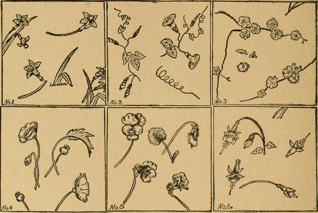 An illustration from Ladies's work for pleasure and profit, 1894, leaf 107