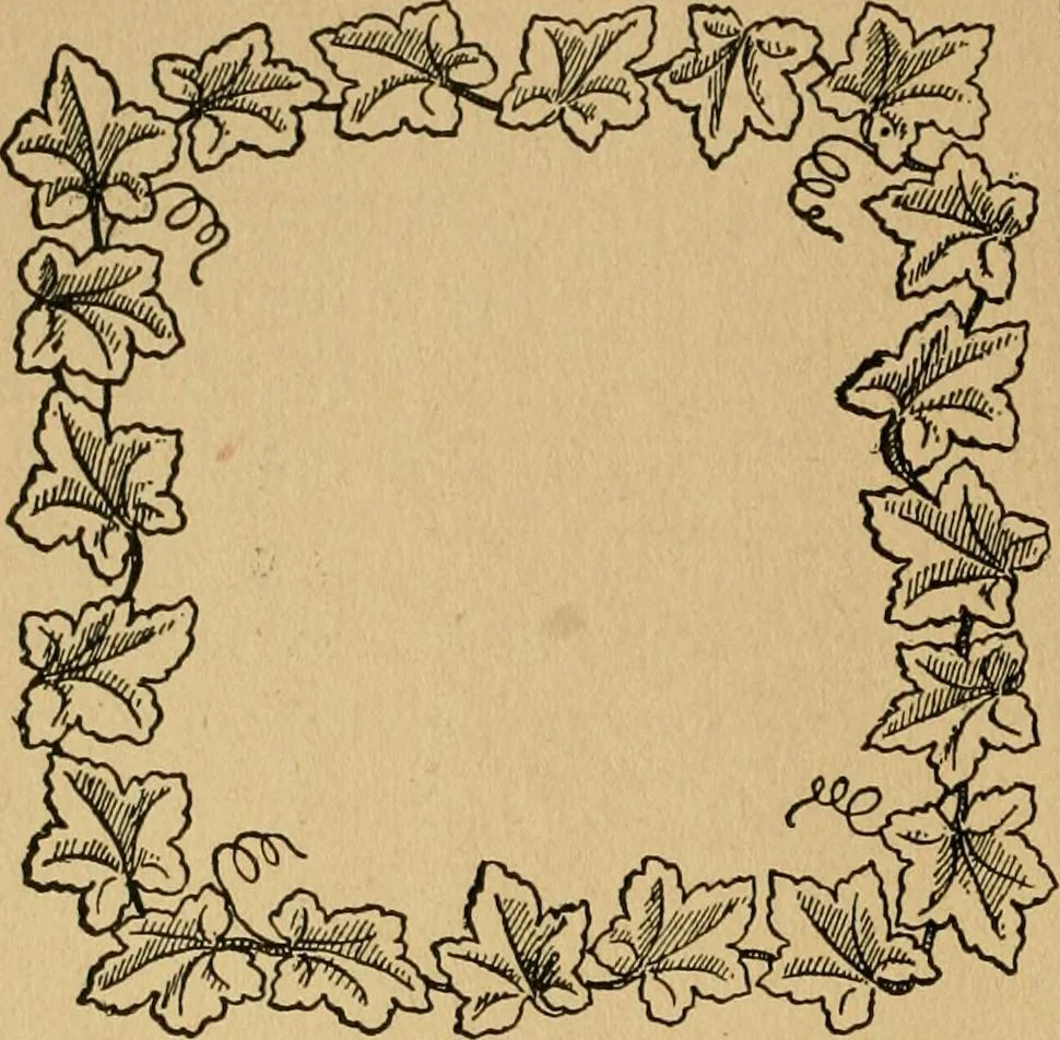 An illustration from Ladies's work for pleasure and profit, 1894, leaf 109