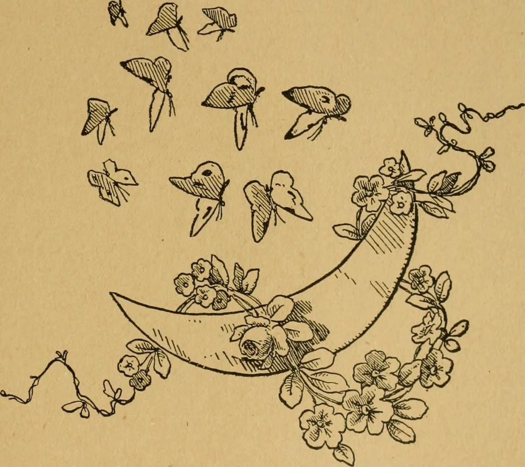 An illustration from Ladies's work for pleasure and profit, 1894, leaf 112