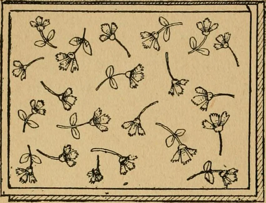 An illustration from Ladies's work for pleasure and profit, 1894, leaf 113