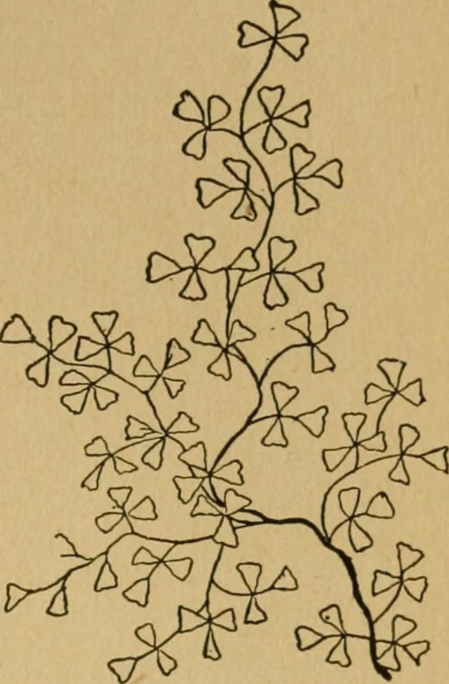 An illustration from Ladies's work for pleasure and profit, 1894, leaf 122