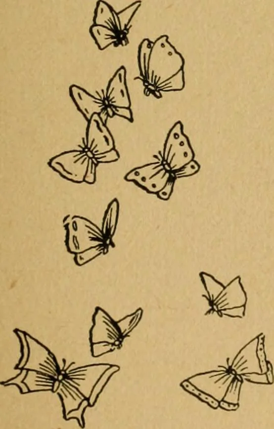 An illustration from Ladies's work for pleasure and profit, 1894, leaf 122
