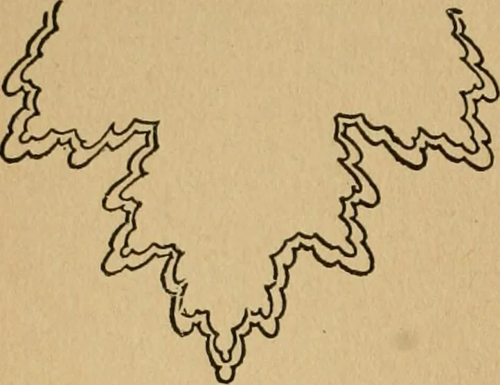 An illustration from Ladies's work for pleasure and profit, 1894, leaf 125