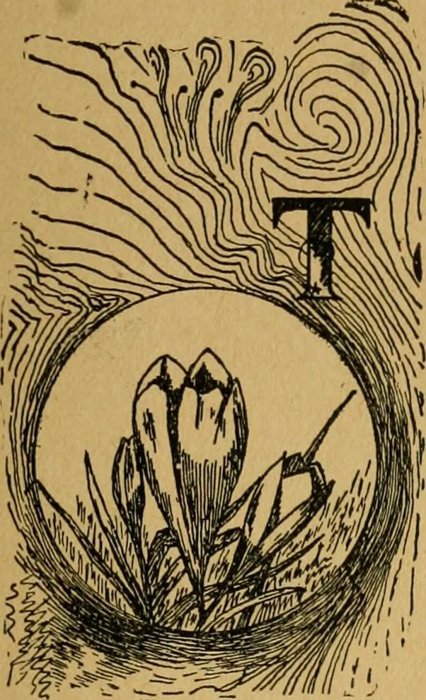 An illustration from Ladies's work for pleasure and profit, 1894, leaf 128