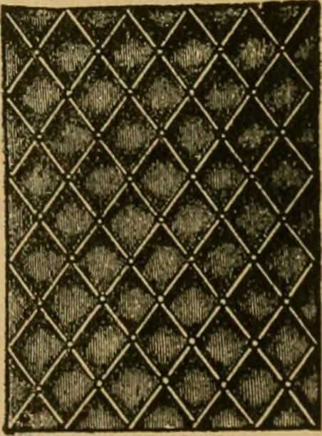 An illustration from Ladies's work for pleasure and profit, 1894, leaf 134