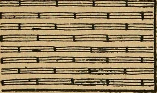 An illustration from Ladies's work for pleasure and profit, 1894, leaf 135