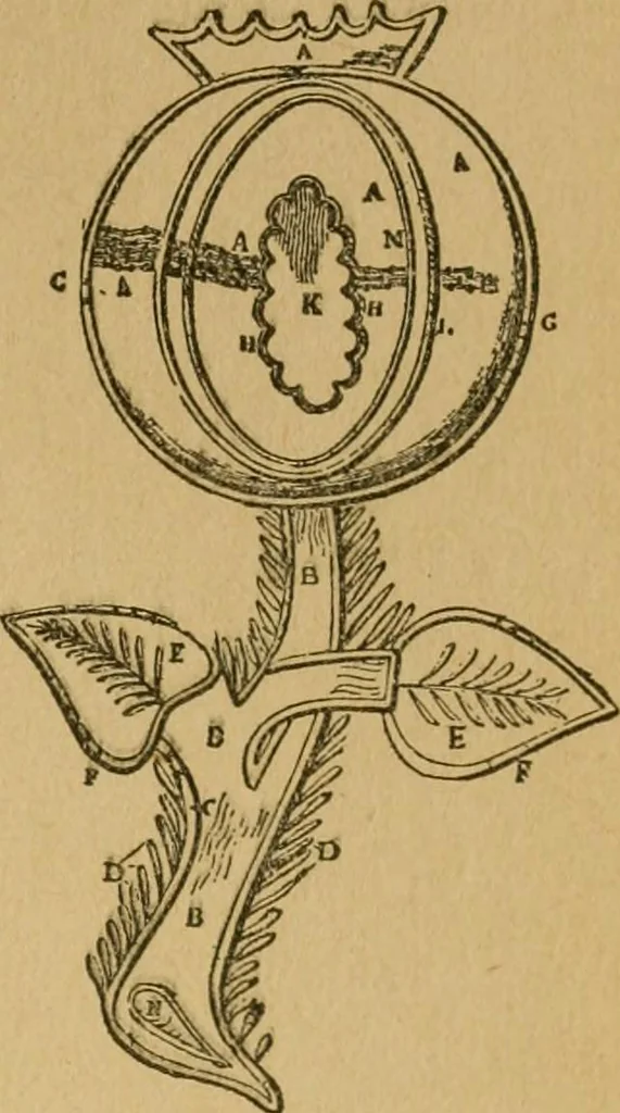 An illustration from Ladies's work for pleasure and profit, 1894, leaf 140