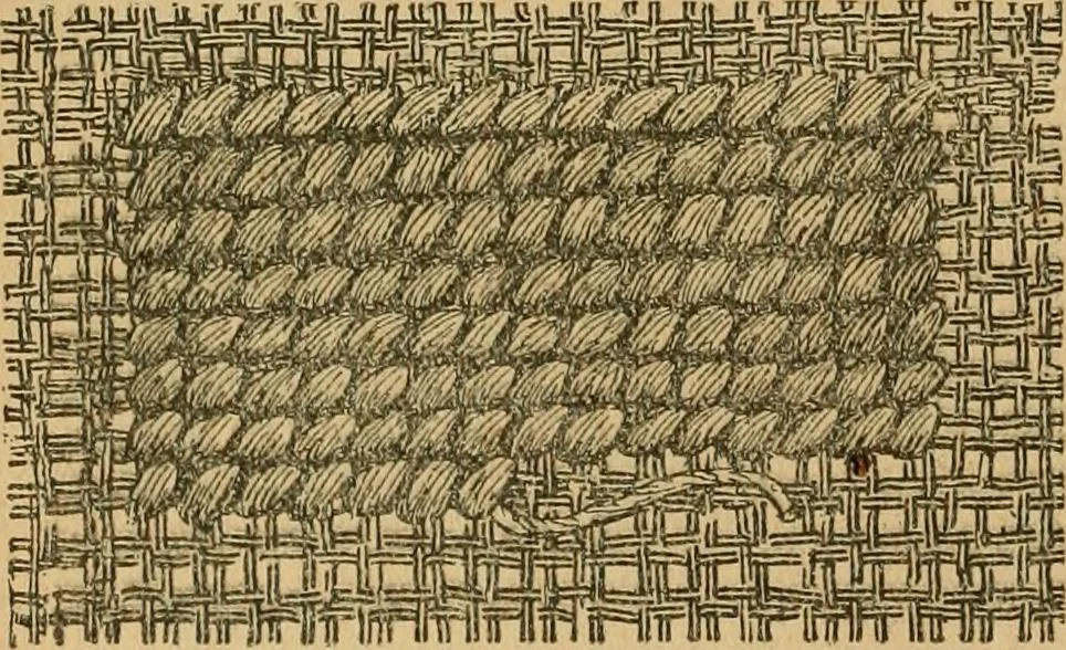 An illustration from Ladies's work for pleasure and profit, 1894, leaf 159