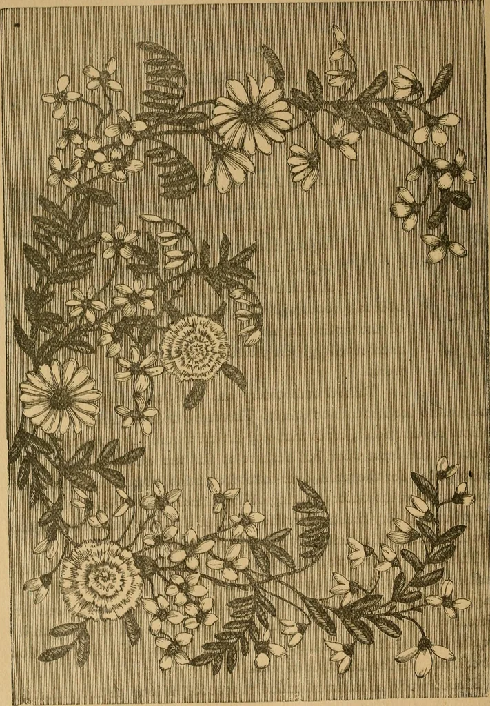 An illustration from Ladies's work for pleasure and profit, 1894, leaf 163