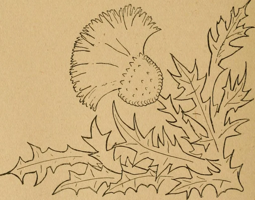 An illustration from Ladies's work for pleasure and profit, 1894, leaf 179