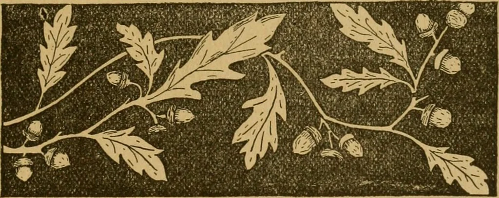 An illustration from Ladies's work for pleasure and profit, 1894, leaf 186