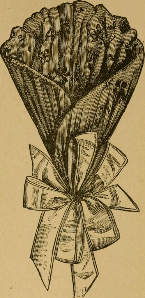 An illustration from Ladies's work for pleasure and profit, 1894, leaf 190