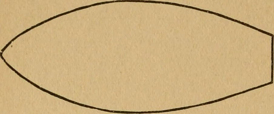 An illustration from Ladies's work for pleasure and profit, 1894, leaf 193