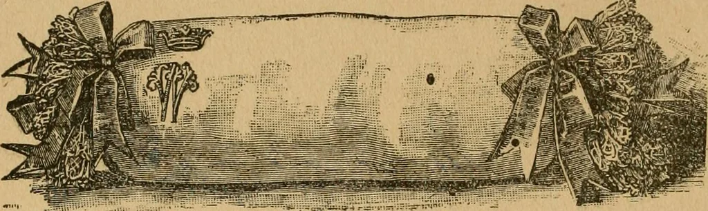 An illustration from Ladies's work for pleasure and profit, 1894, leaf 199