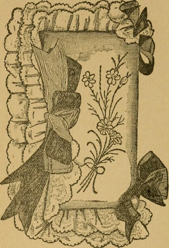 An illustration from Ladies's work for pleasure and profit, 1894, leaf 202