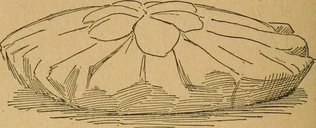 An illustration from Ladies's work for pleasure and profit, 1894, leaf 203