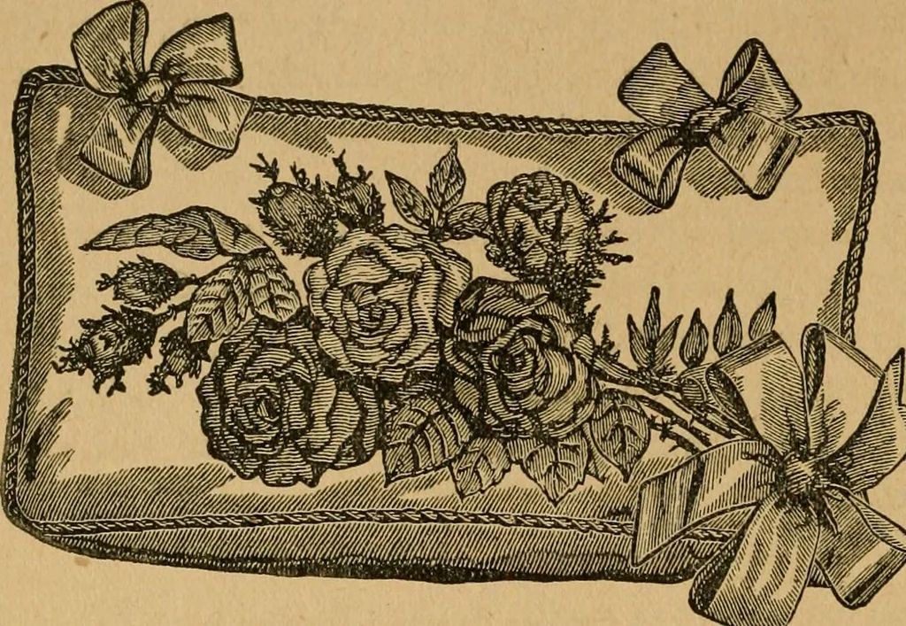 An illustration from Ladies's work for pleasure and profit, 1894, leaf 207