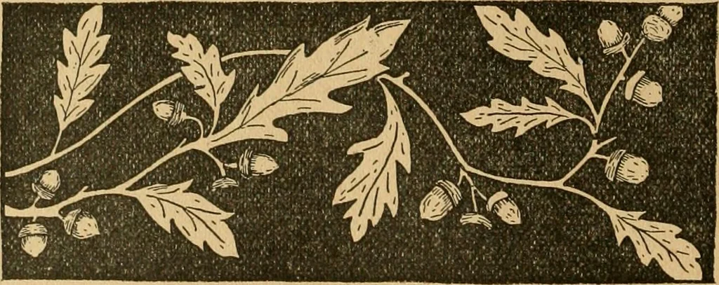 An illustration from Ladies's work for pleasure and profit, 1894, leaf 21