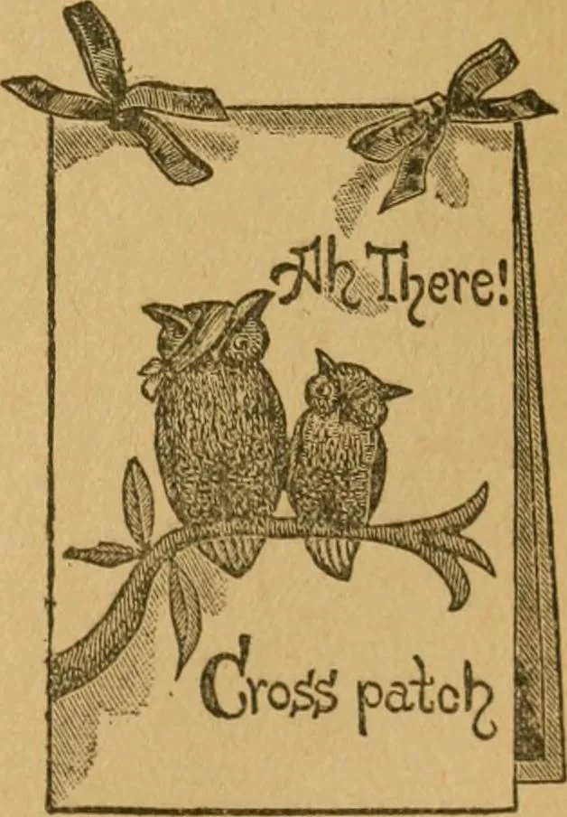 An illustration from Ladies's work for pleasure and profit, 1894, leaf 212