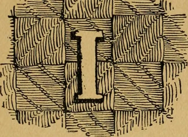 An illustration from Ladies's work for pleasure and profit, 1894, leaf 22