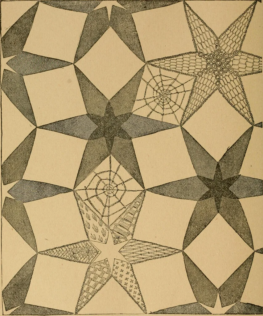 An illustration from Ladies's work for pleasure and profit, 1894, leaf 221