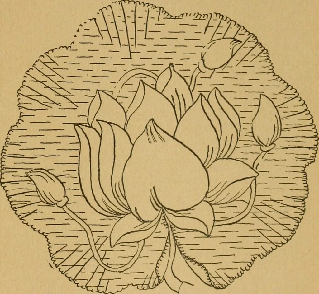 An illustration from Ladies's work for pleasure and profit, 1894, leaf 230