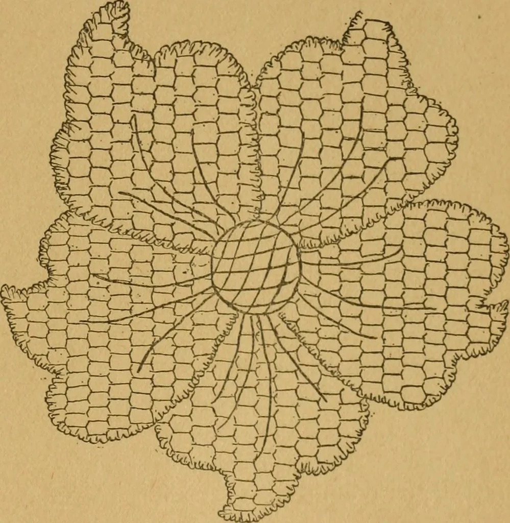 An illustration from Ladies's work for pleasure and profit, 1894, leaf 232