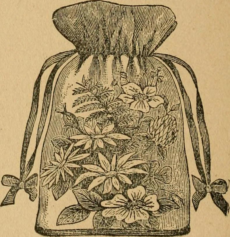 An illustration from Ladies's work for pleasure and profit, 1894, leaf 245