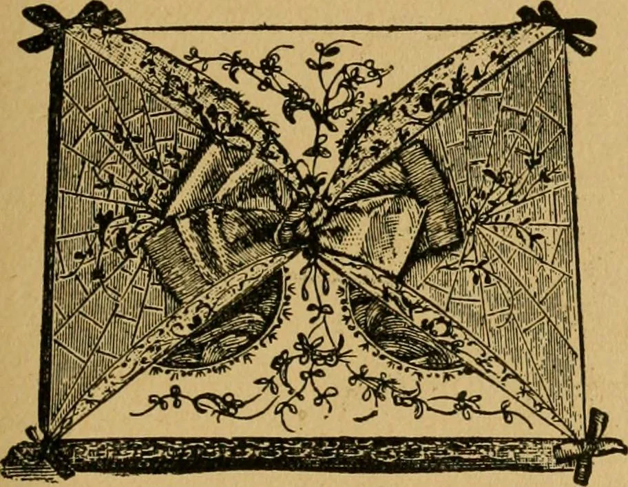 An illustration from Ladies's work for pleasure and profit, 1894, leaf 276