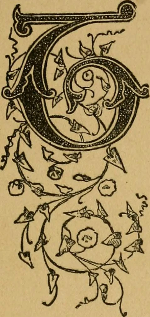 An illustration from Ladies's work for pleasure and profit, 1894, leaf 28