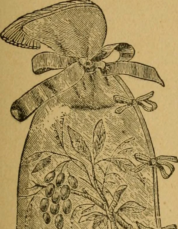 An illustration from Ladies's work for pleasure and profit, 1894, leaf 300