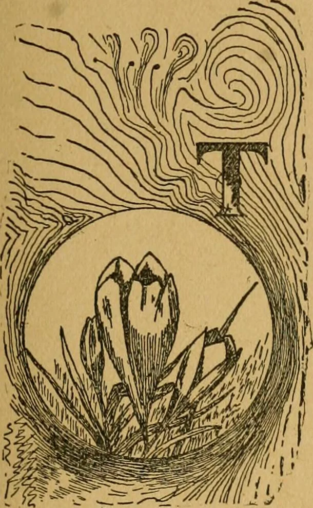 An illustration from Ladies's work for pleasure and profit, 1894, leaf 322
