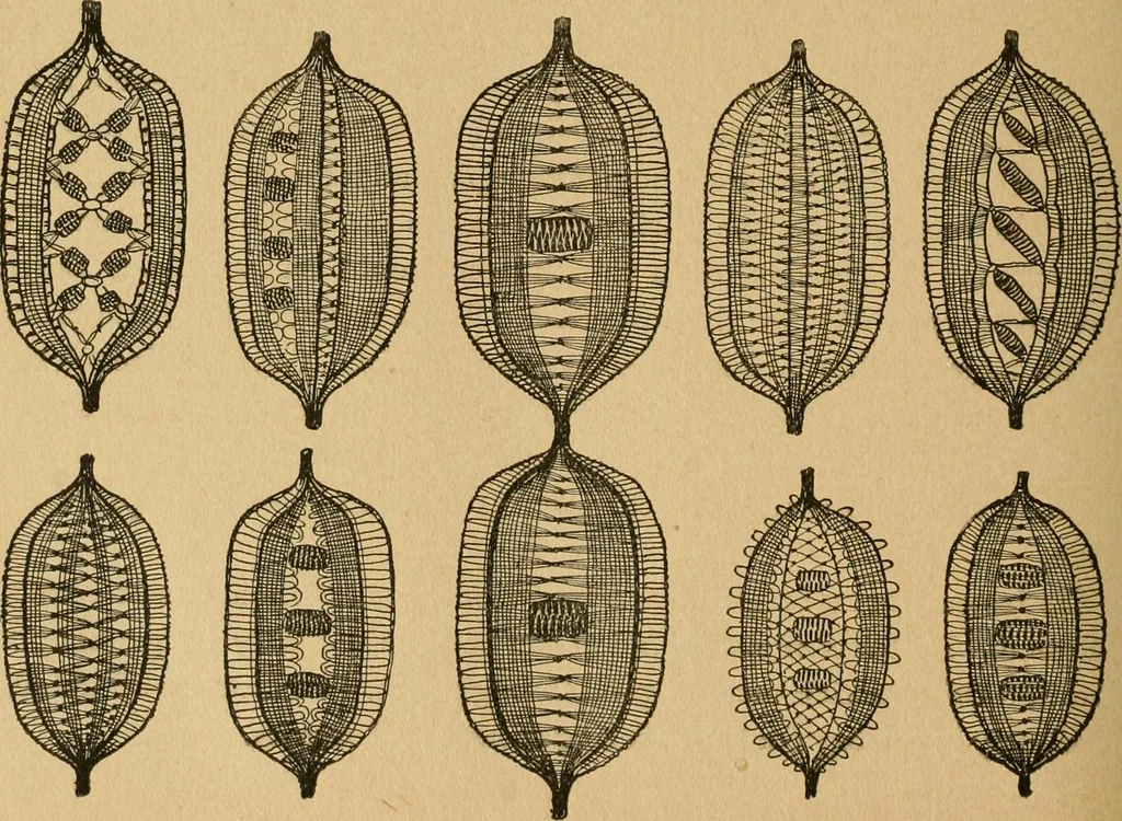 An illustration from Ladies's work for pleasure and profit, 1894, leaf 323