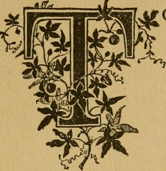 An illustration from Ladies's work for pleasure and profit, 1894, leaf 34