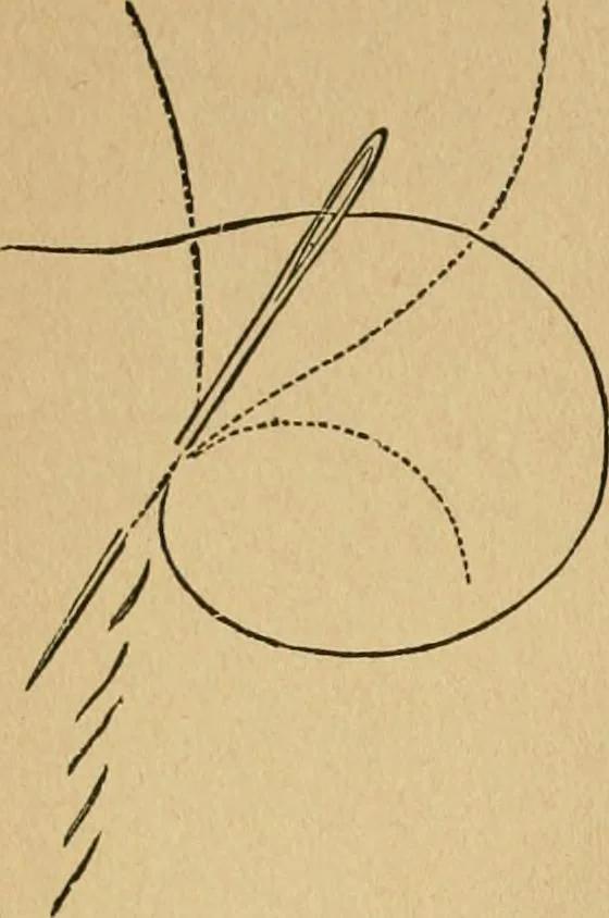An illustration from Ladies's work for pleasure and profit, 1894, leaf 41