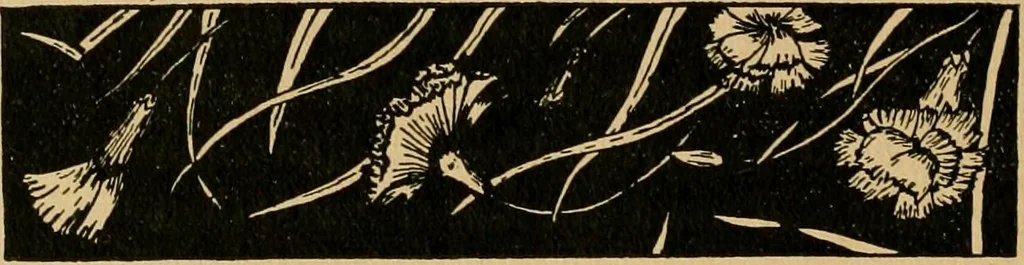 An illustration from Ladies's work for pleasure and profit, 1894, leaf 411