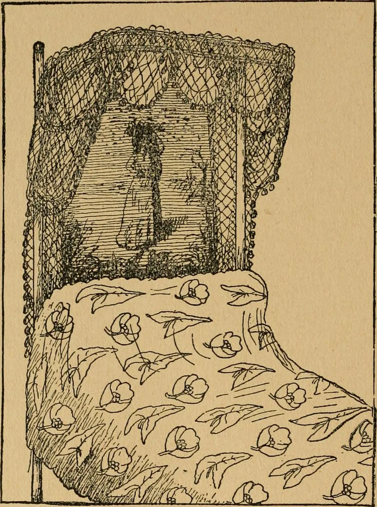 An illustration from Ladies's work for pleasure and profit, 1894, leaf 433