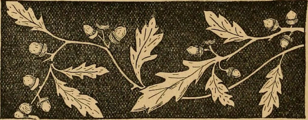 An illustration from Ladies's work for pleasure and profit, 1894, leaf 447